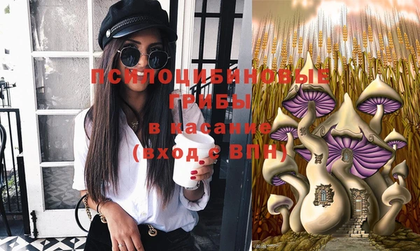 гидропоника Арсеньев