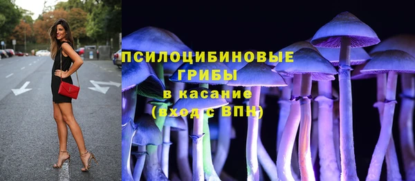 гидропоника Арсеньев