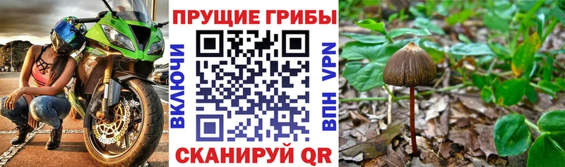 Галлюциногенные грибы ЛСД  Ленинск-Кузнецкий 