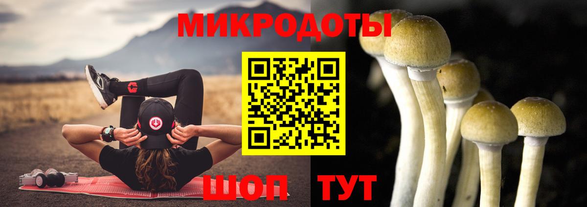 Псилоцибиновые грибы Psilocybine cubensis  Галлюциногенные грибы Cubensis  Вход с VPN  Ленинск-Кузнецкий 